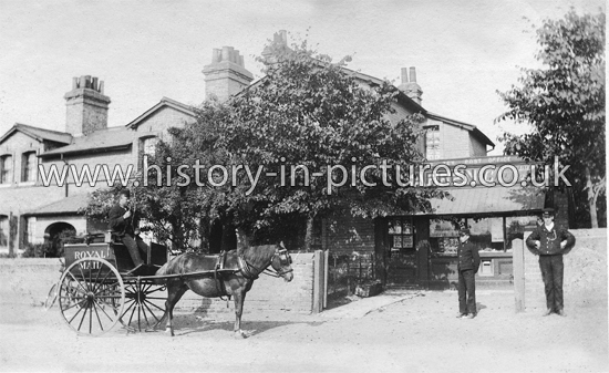 Royal Mail Delivery to The Post Office, Marks Tey, Essex. c.1906